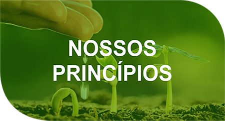 Nossos Princípios