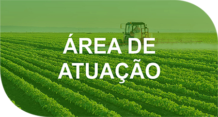 Área de Atuação