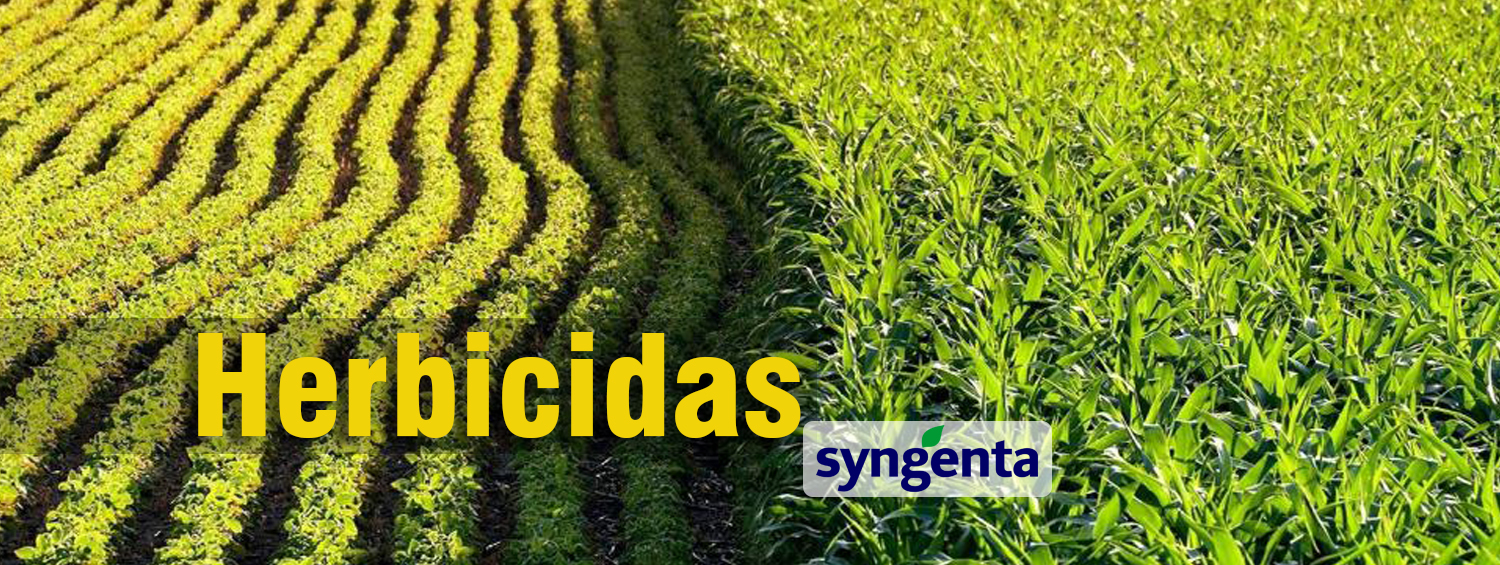 Herbicidas